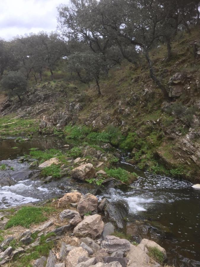 Casa Rural Quejigo Con Piscina 산타 올라야 델 칼라 외부 사진